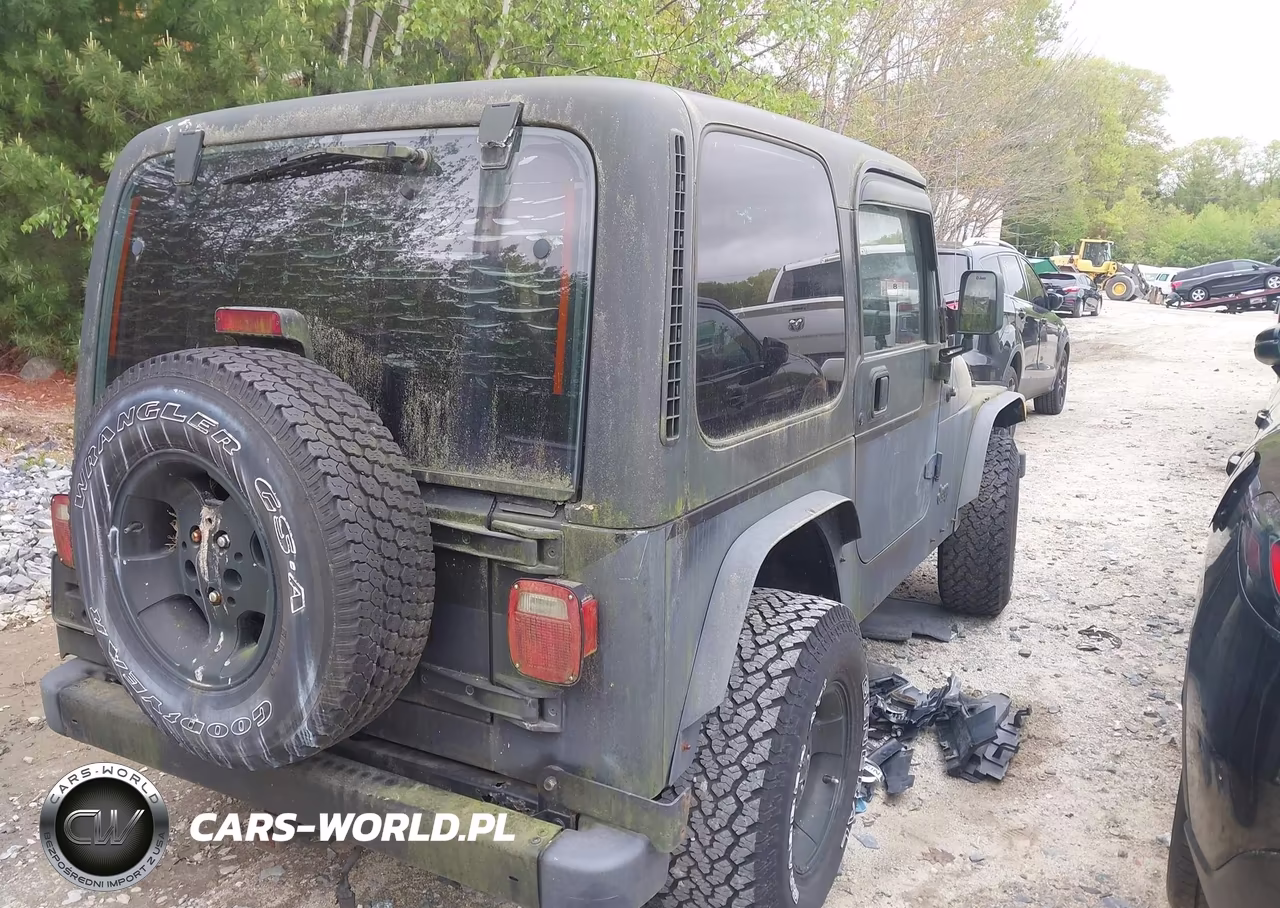 2002 Jeep Wrangler Sport VIN:1J4FA49SX2P766891 - 14