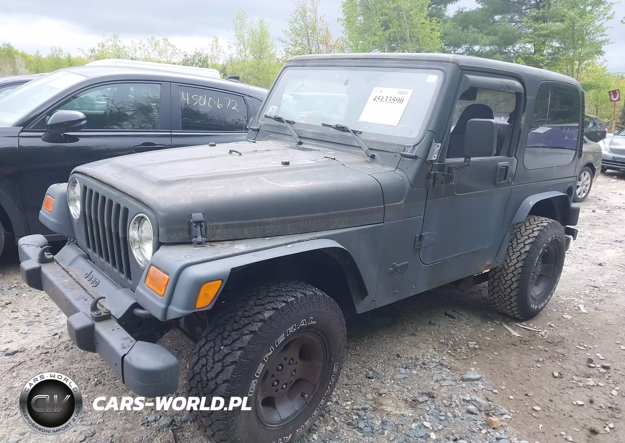 2002 Jeep Wrangler Sport VIN:1J4FA49SX2P766891 - 2