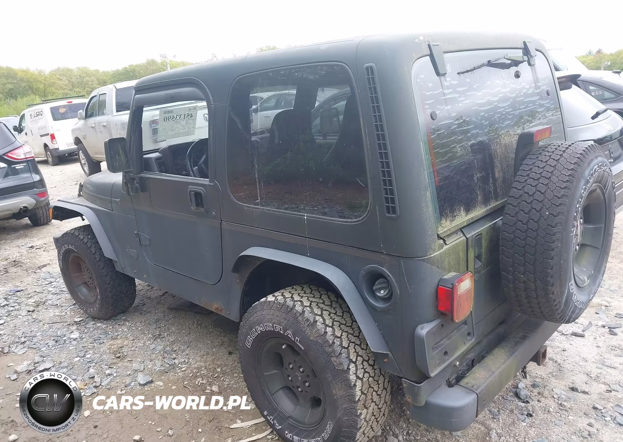 2002 Jeep Wrangler Sport VIN:1J4FA49SX2P766891 - 3