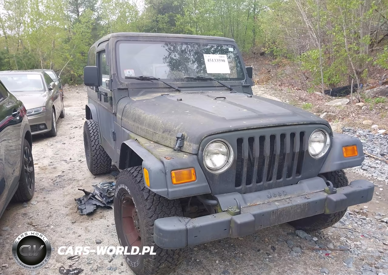 2002 Jeep Wrangler Sport VIN:1J4FA49SX2P766891 - 6