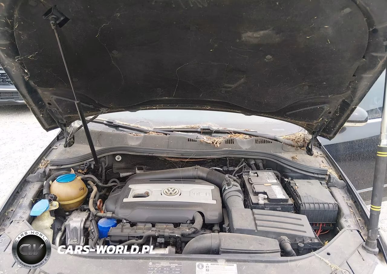 2010 Volkswagen Passat Komfort VIN:WVWJM7AN8AE069535 - 10