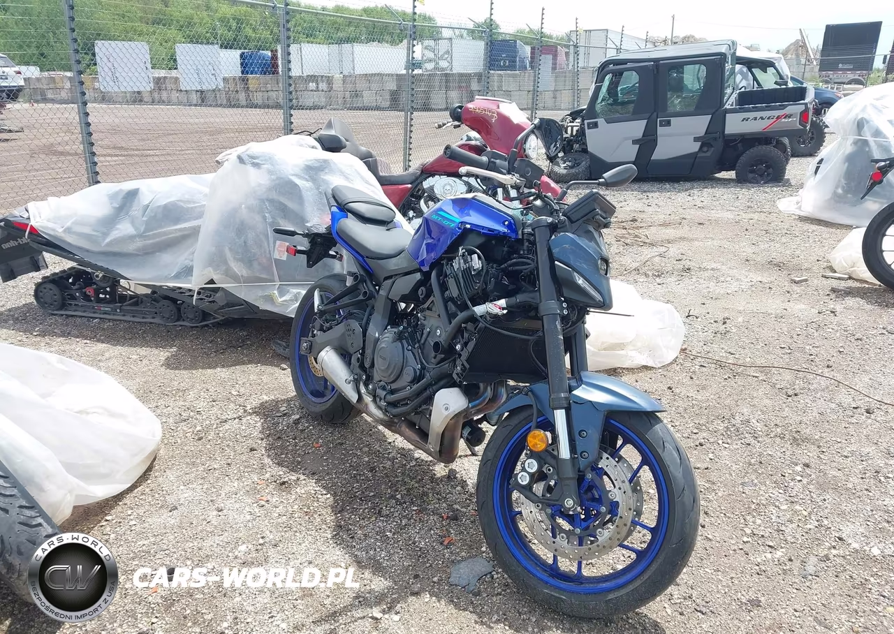 2025 Yamaha Mtn690