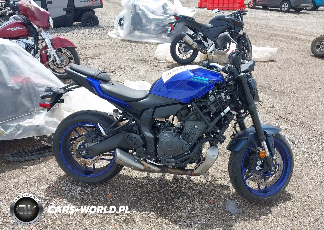 2025 Yamaha Mtn690 VIN:JYARM48E2SA002263 - 12