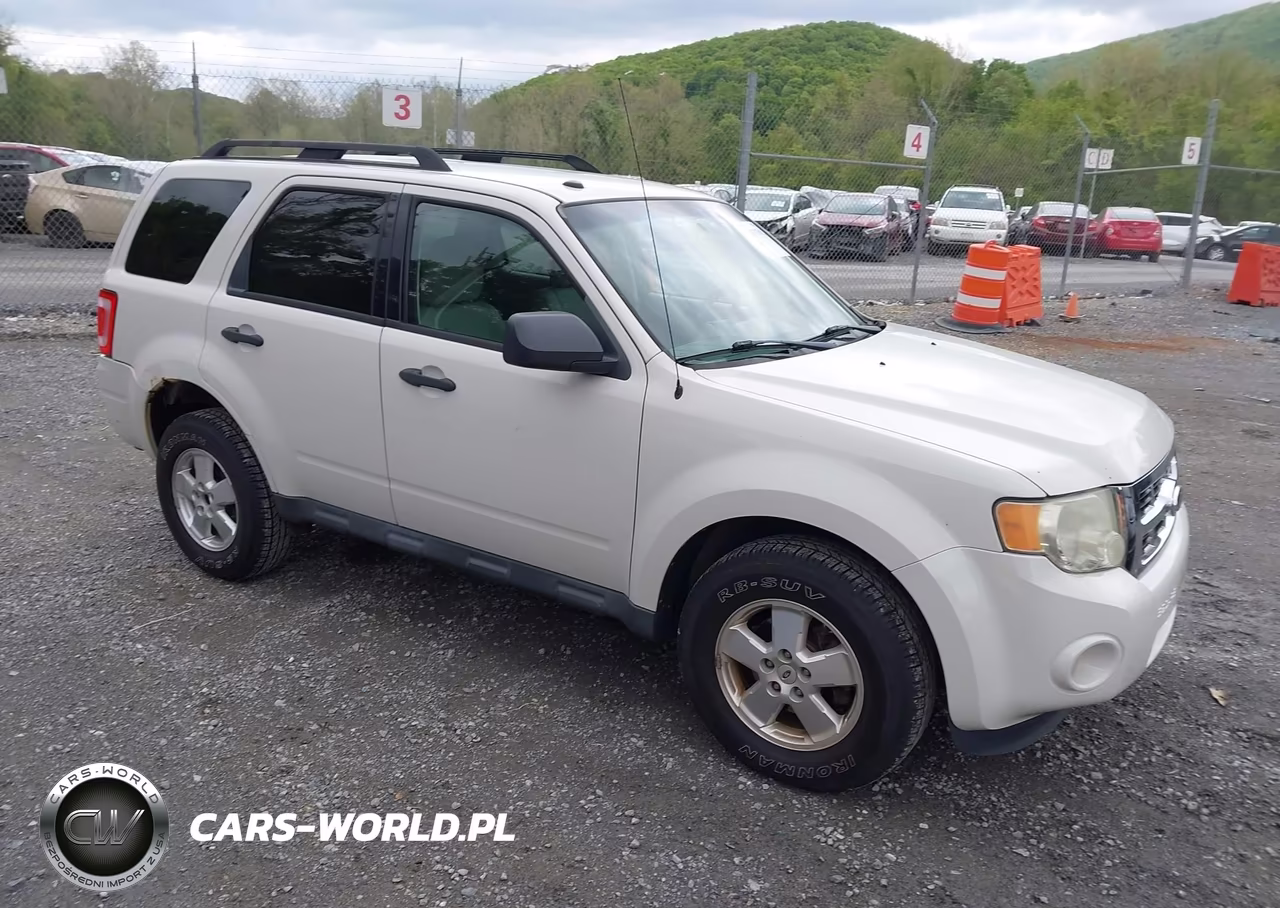 Główne zdjęcie 2011 Ford Escape Xlt