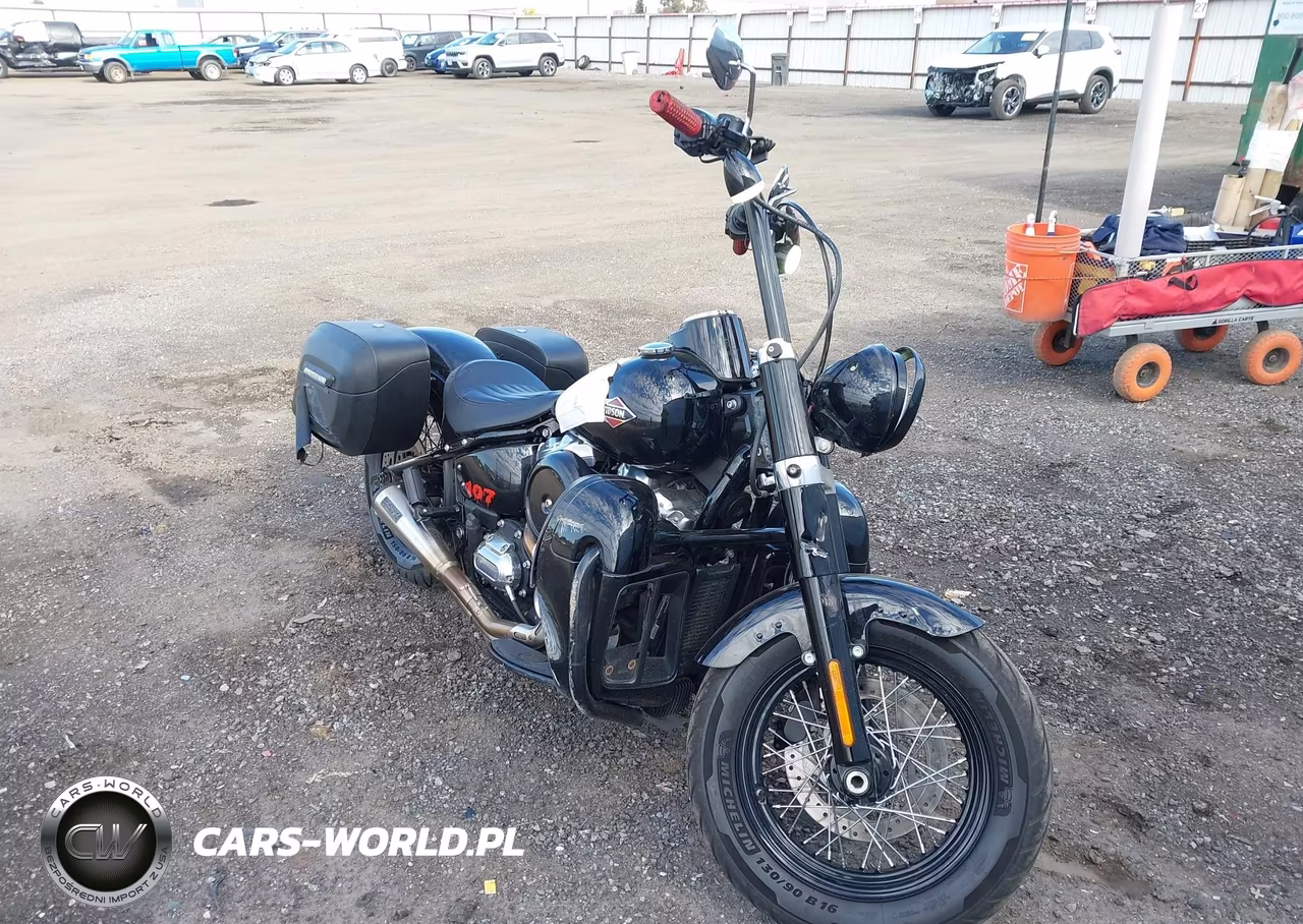 2019 Harley-Davidson Flsl