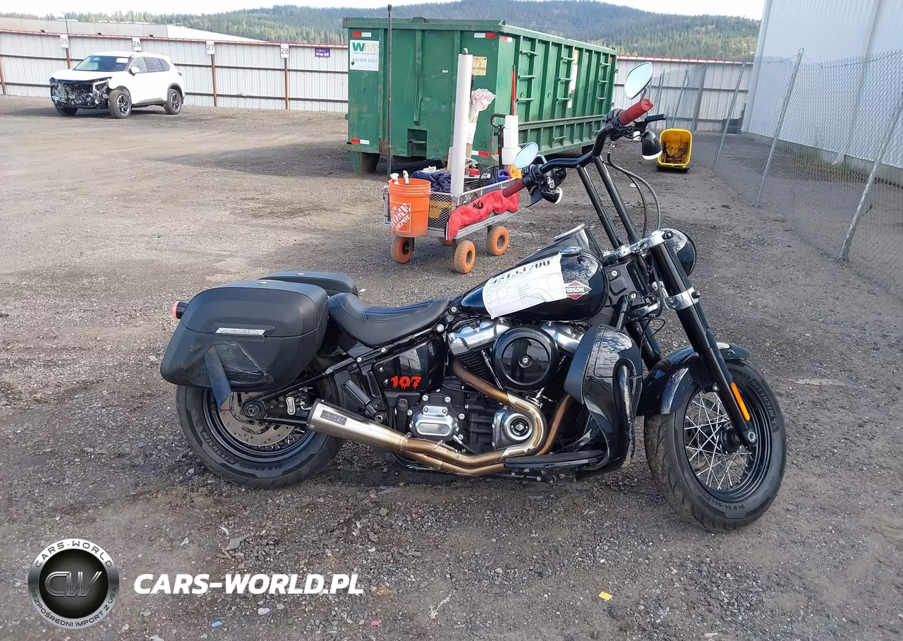 2019 Harley-Davidson Flsl VIN:1HD1YDJ26KB072489 - 12