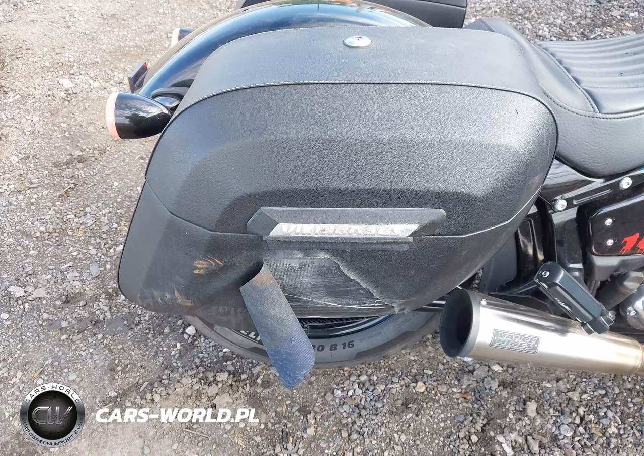 2019 Harley-Davidson Flsl VIN:1HD1YDJ26KB072489 - 14