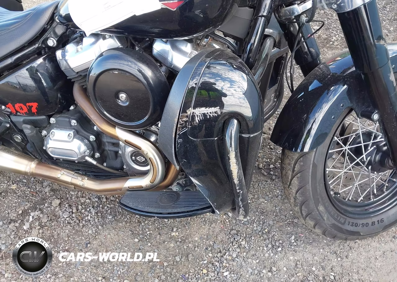 2019 Harley-Davidson Flsl VIN:1HD1YDJ26KB072489 - 15