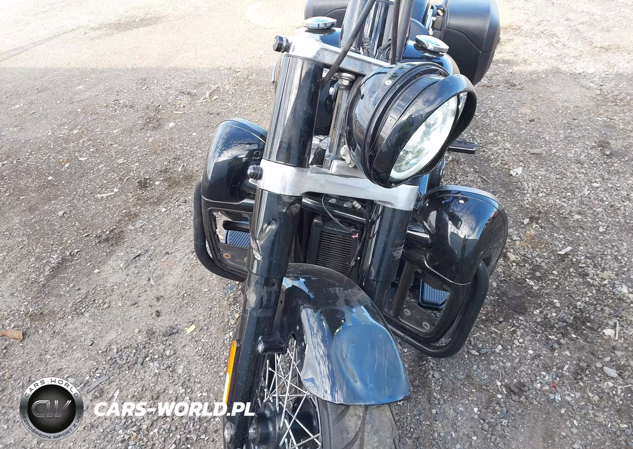 2019 Harley-Davidson Flsl VIN:1HD1YDJ26KB072489 - 16