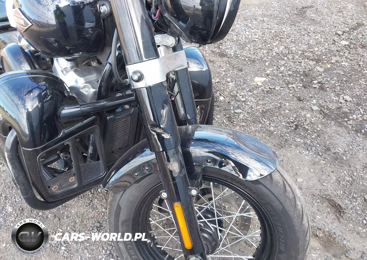 2019 Harley-Davidson Flsl VIN:1HD1YDJ26KB072489 - 17