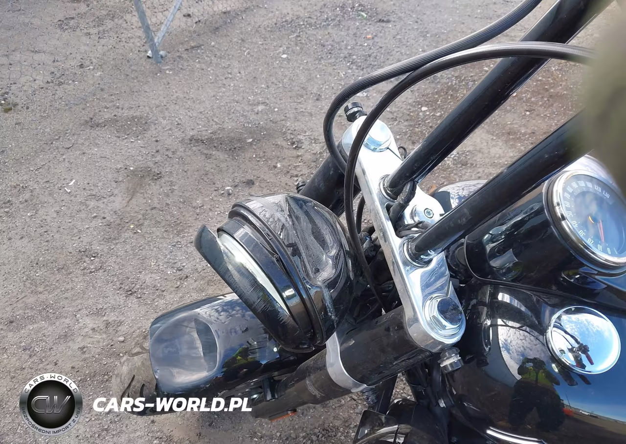 2019 Harley-Davidson Flsl VIN:1HD1YDJ26KB072489 - 18