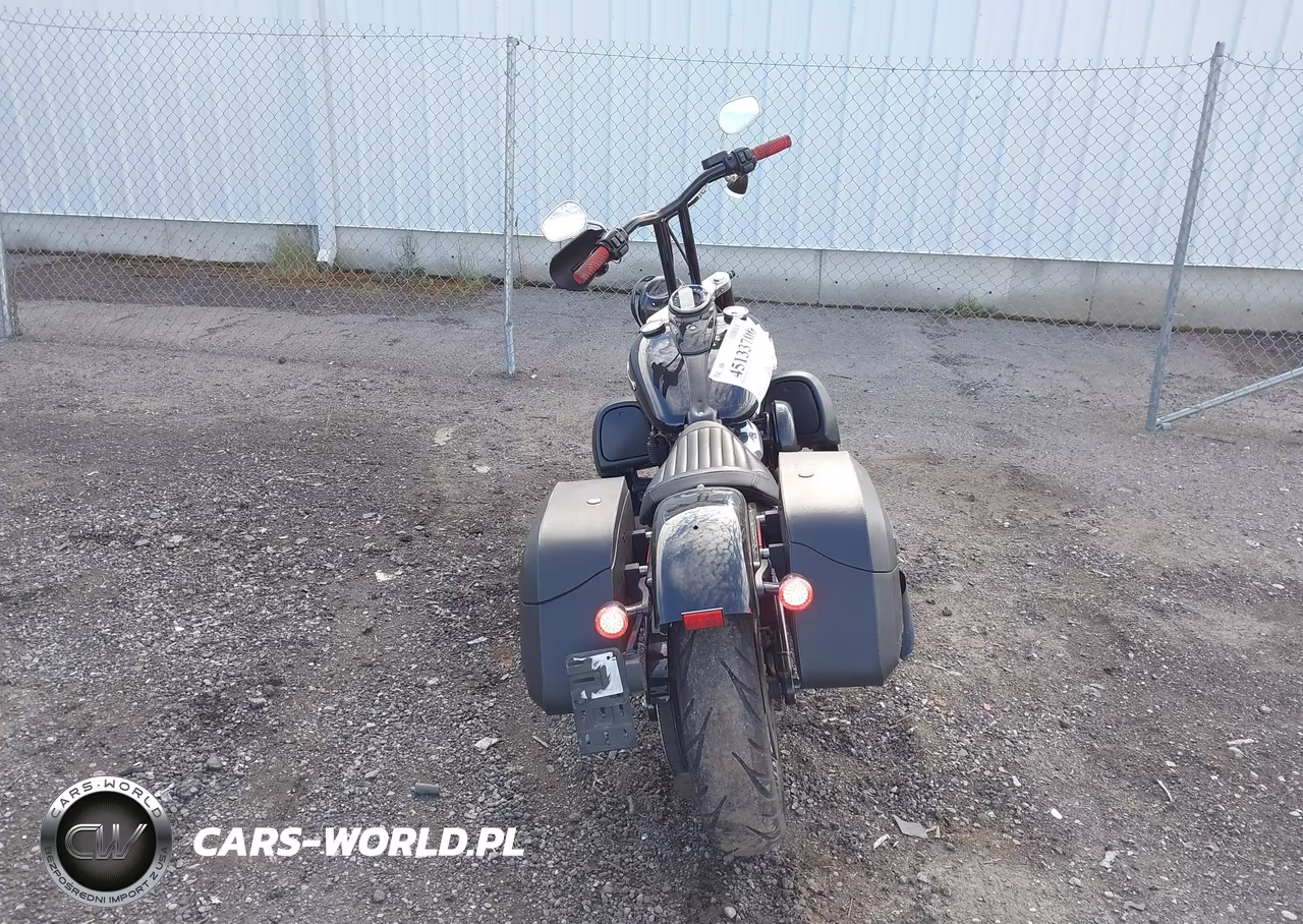 2019 Harley-Davidson Flsl VIN:1HD1YDJ26KB072489 - 6