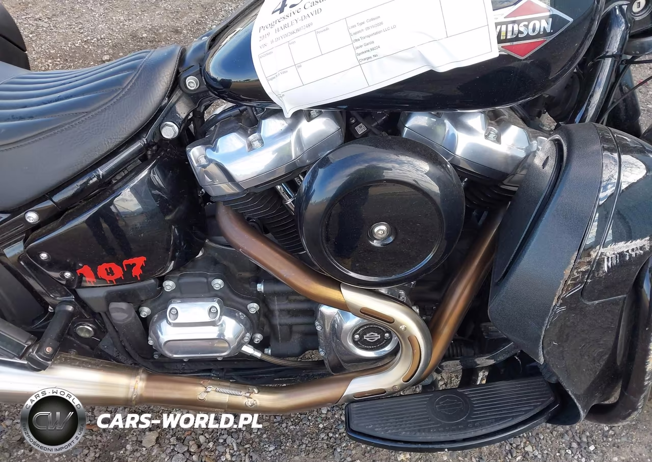 2019 Harley-Davidson Flsl VIN:1HD1YDJ26KB072489 - 8