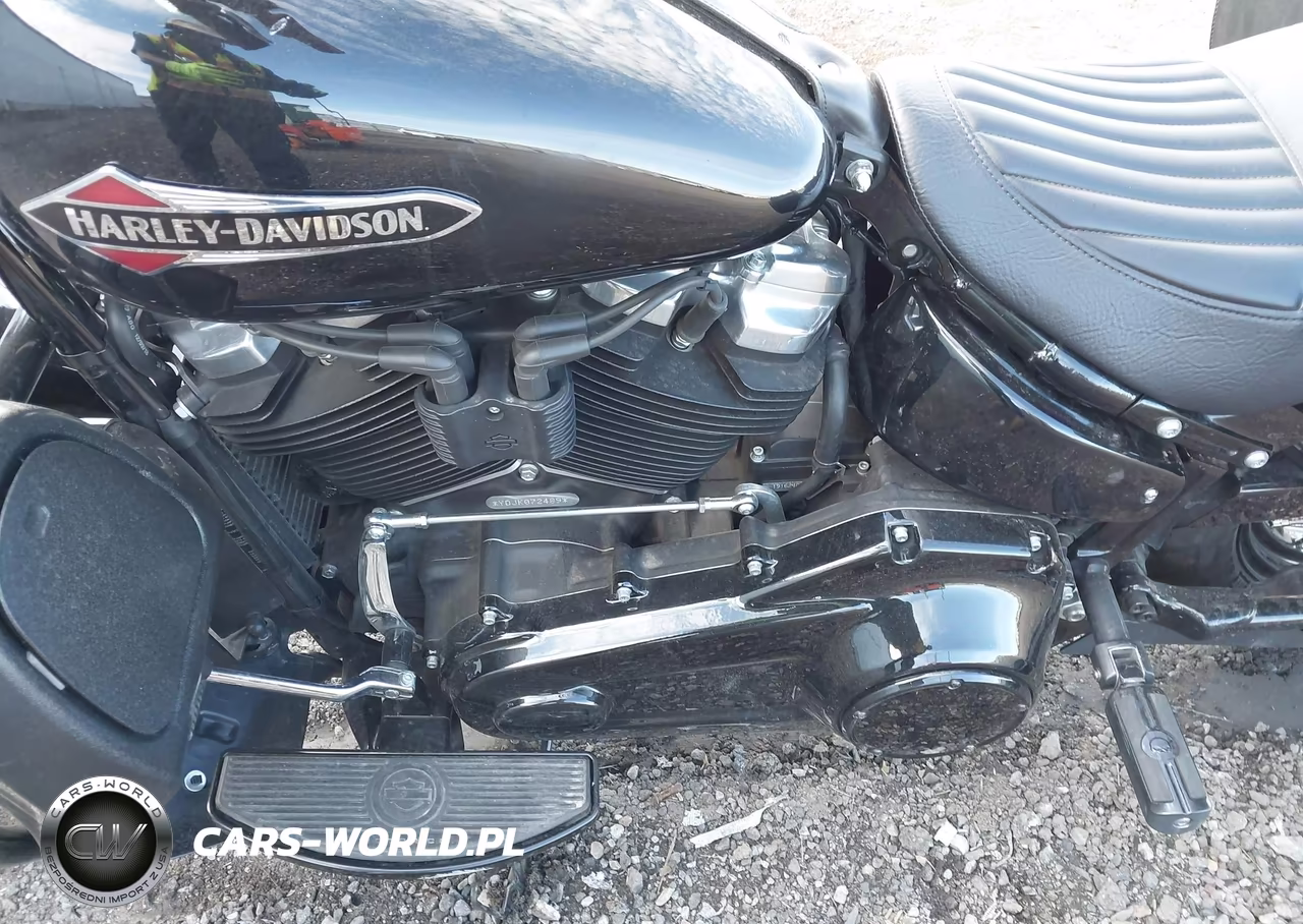 2019 Harley-Davidson Flsl VIN:1HD1YDJ26KB072489 - 9