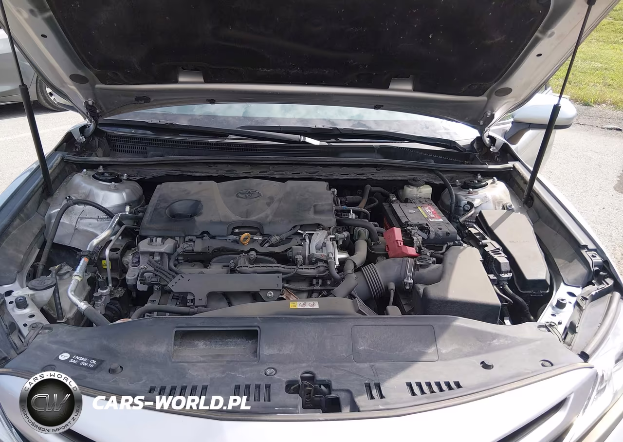 2018 Toyota Camry Se VIN:4T1B11HK8JU049907 - 10