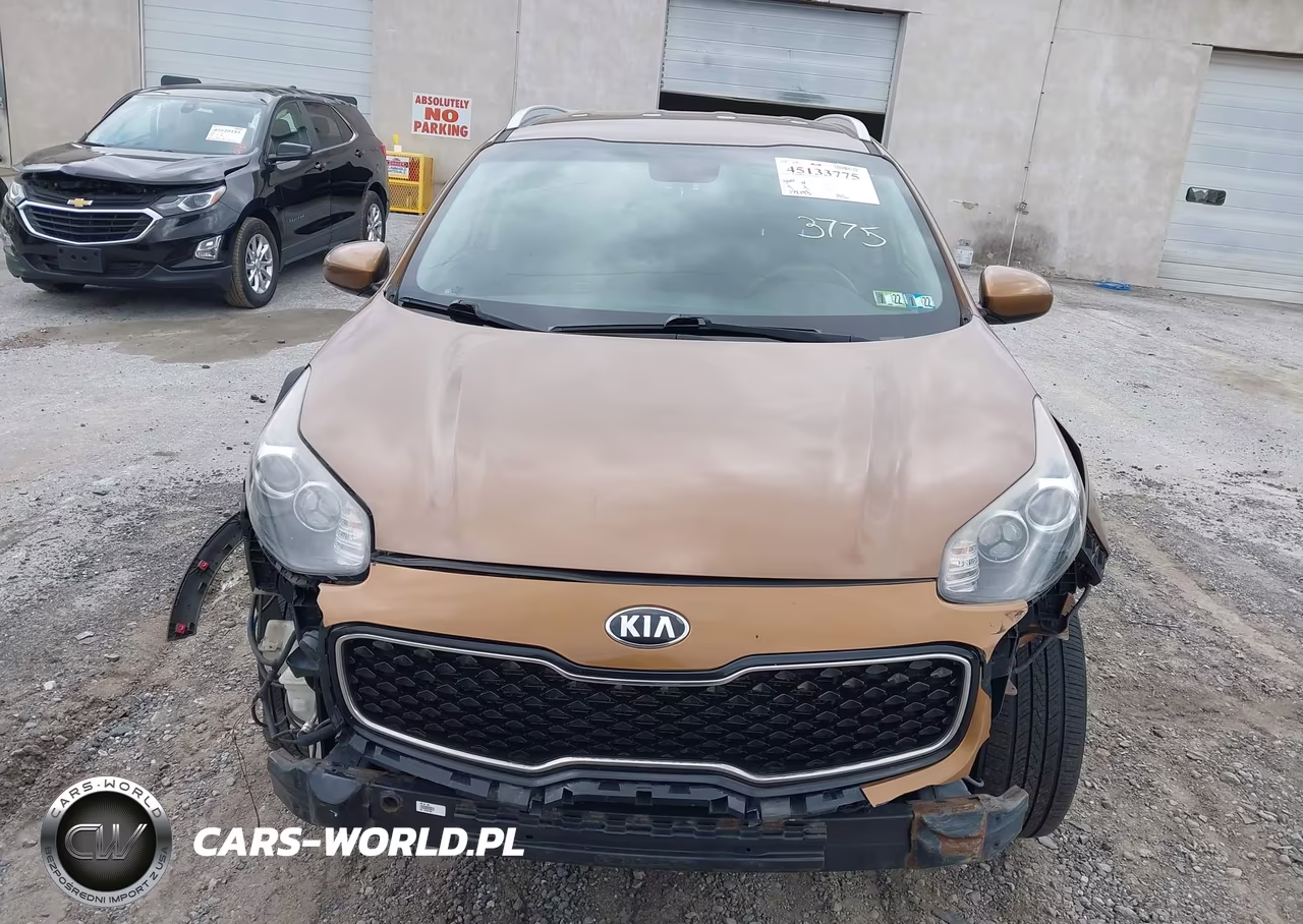 2017 Kia Sportage Lx VIN:KNDPMCAC9H7240034 - 13
