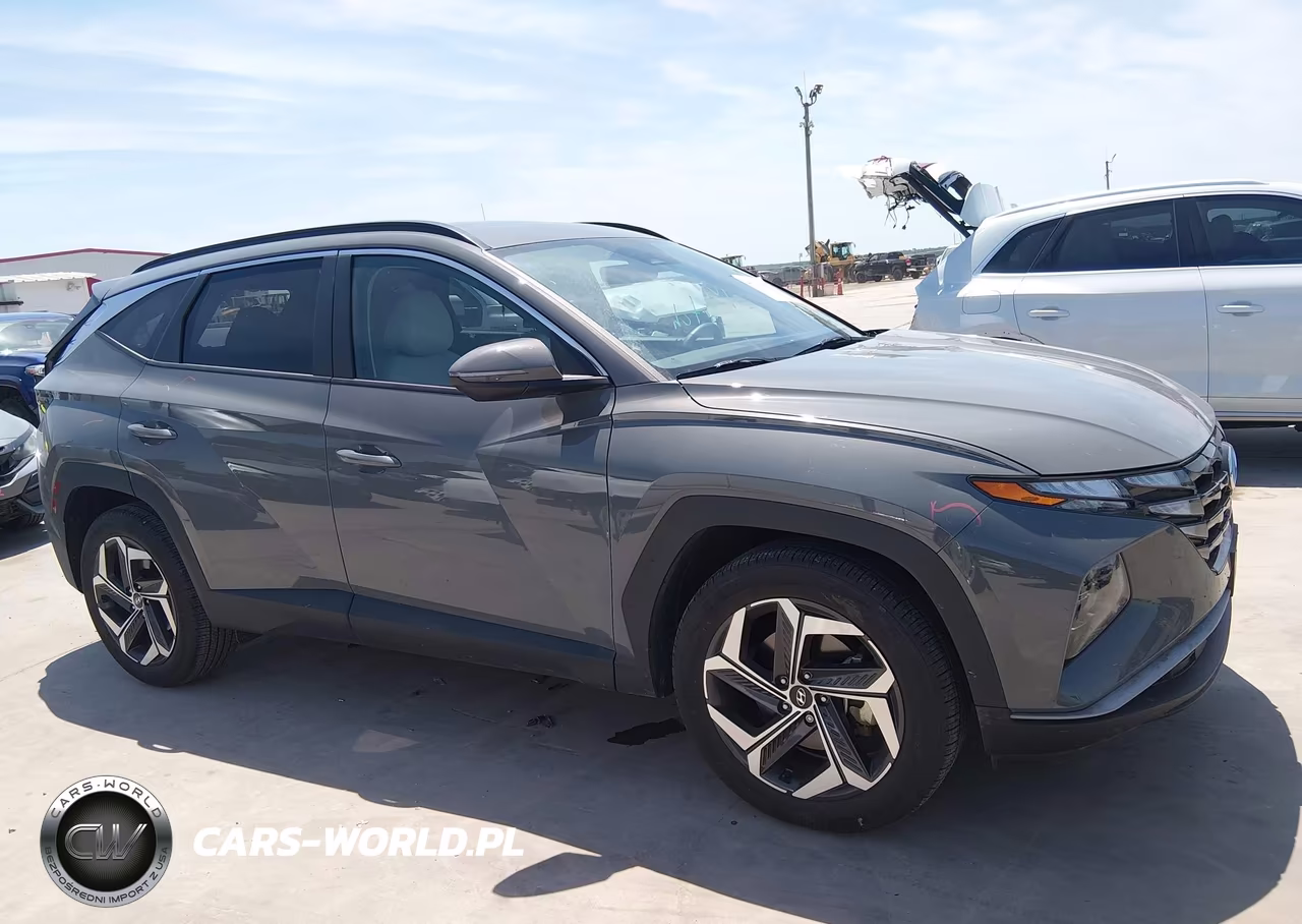 2024 Hyundai Tucson Sel VIN:5NMJF3DE6RH439260 - 13