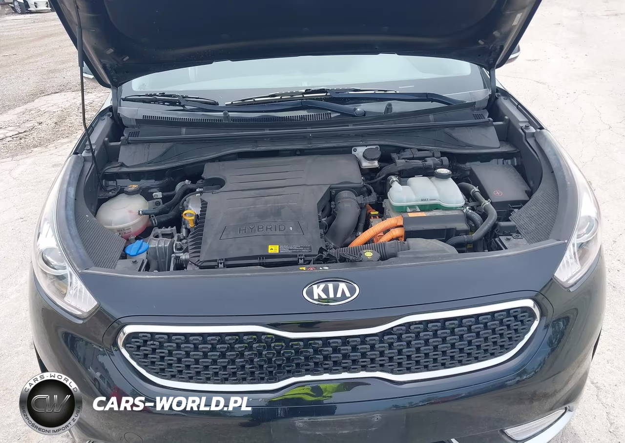 2017 Kia Niro Touring VIN:KNDCE3LC4H5088524 - 10