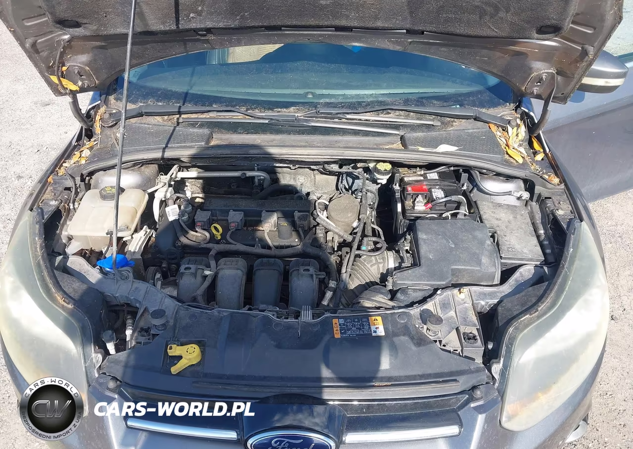 2014 Ford Focus Titanium VIN:1FADP3N29EL448015 - 10