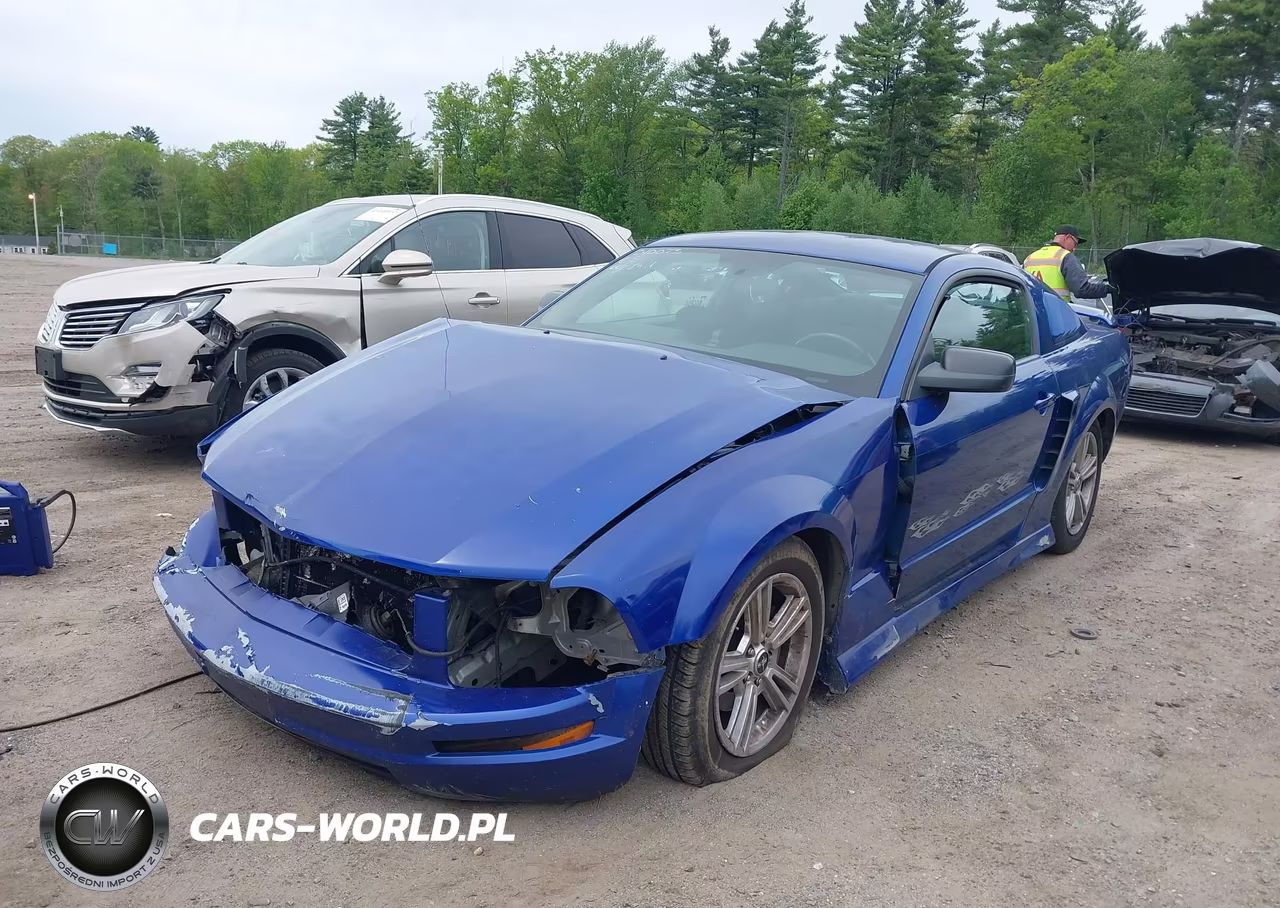 FORD MUSTANG VIN:1ZVFT80N965130329 - 12