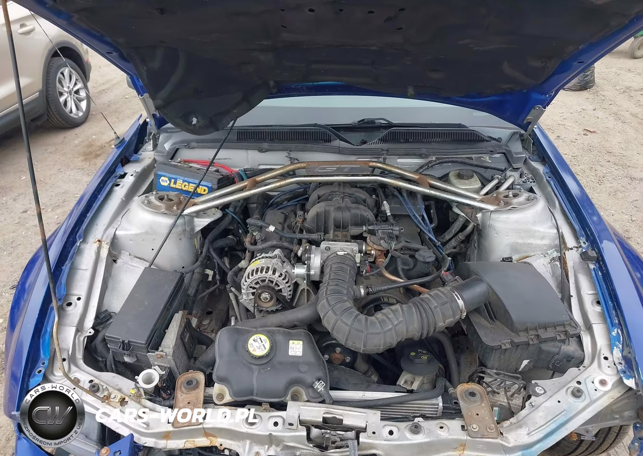FORD MUSTANG VIN:1ZVFT80N965130329 - 14