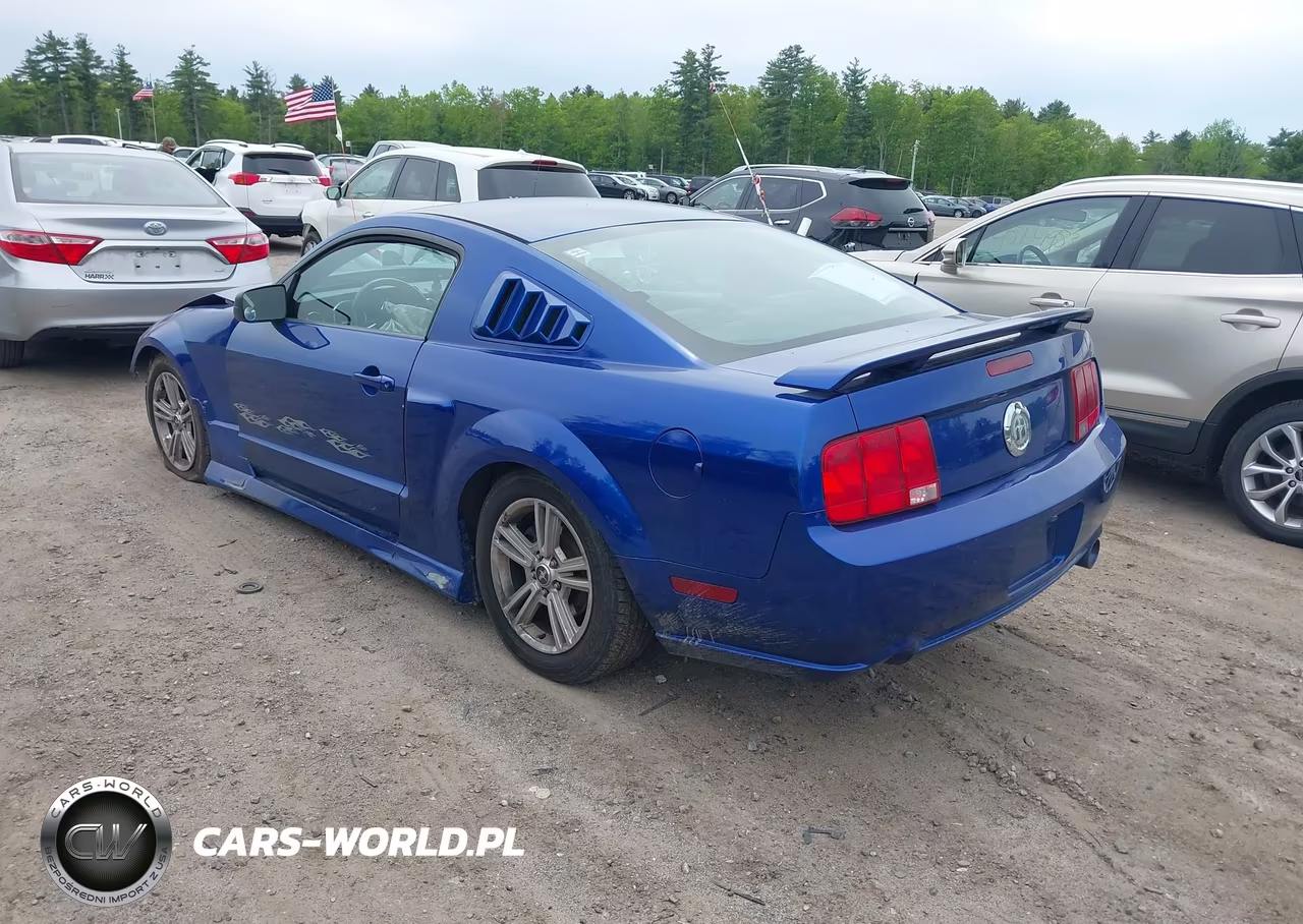 FORD MUSTANG VIN:1ZVFT80N965130329 - 3
