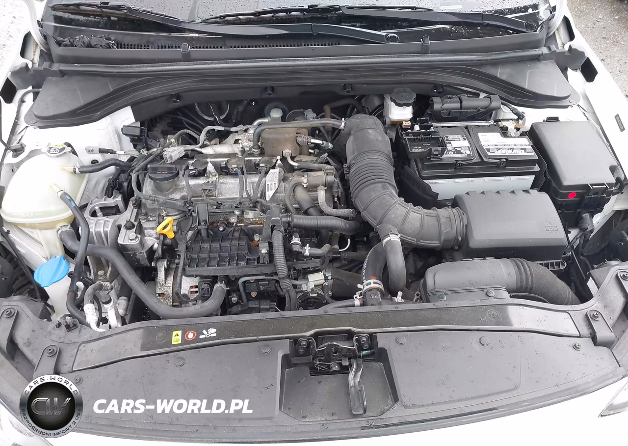 2017 Hyundai Elantra Eco VIN:5NPD94LA5HH141289 - 10