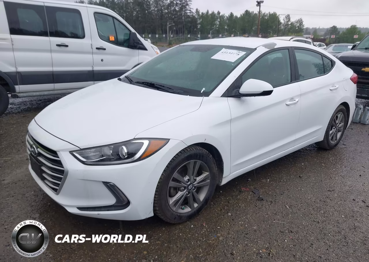 2017 Hyundai Elantra Eco VIN:5NPD94LA5HH141289 - 2
