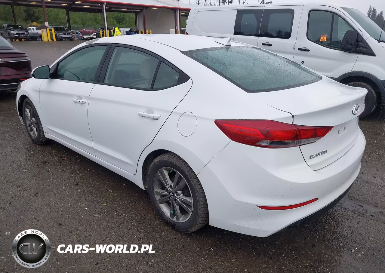 2017 Hyundai Elantra Eco VIN:5NPD94LA5HH141289 - 3
