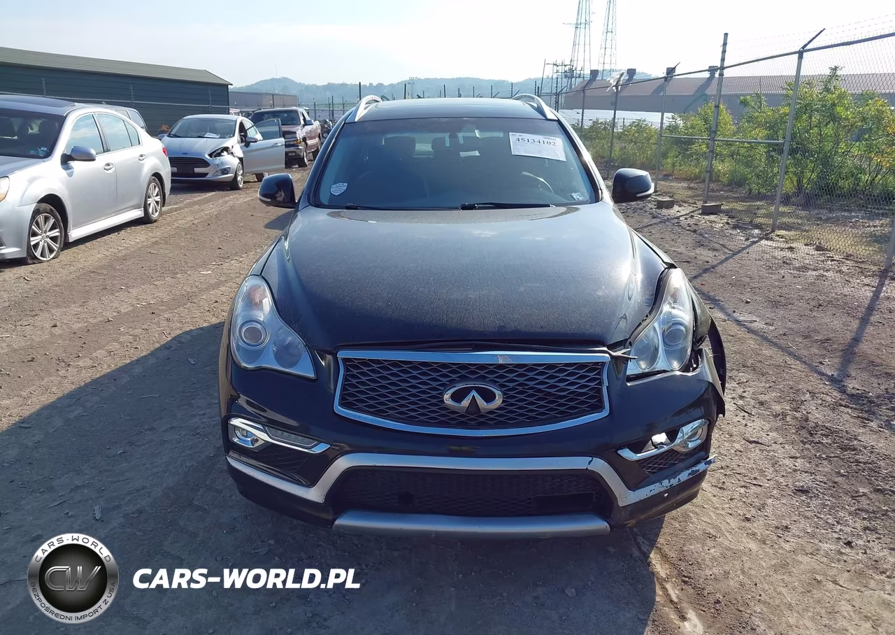 2016 Infiniti Qx50 VIN:JN1BJ0RR1GM260386 - 12