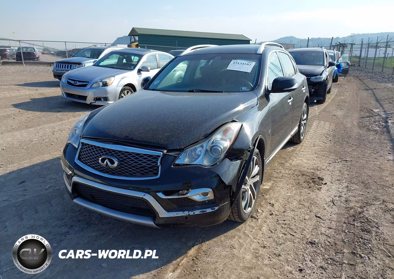 2016 Infiniti Qx50 VIN:JN1BJ0RR1GM260386 - 2
