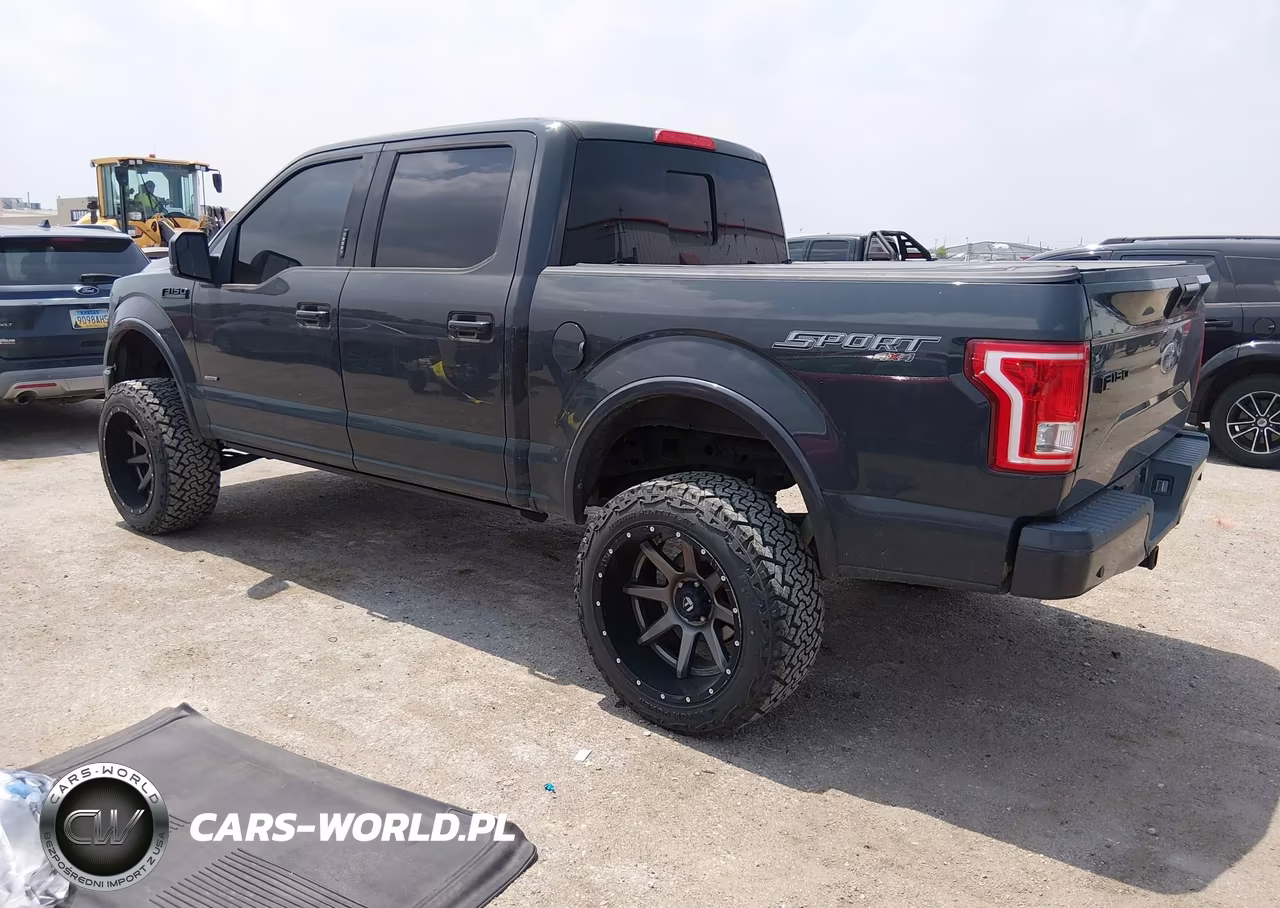 2016 Ford F-150 Xlt VIN:1FTEW1EP0GFC29530 - 3