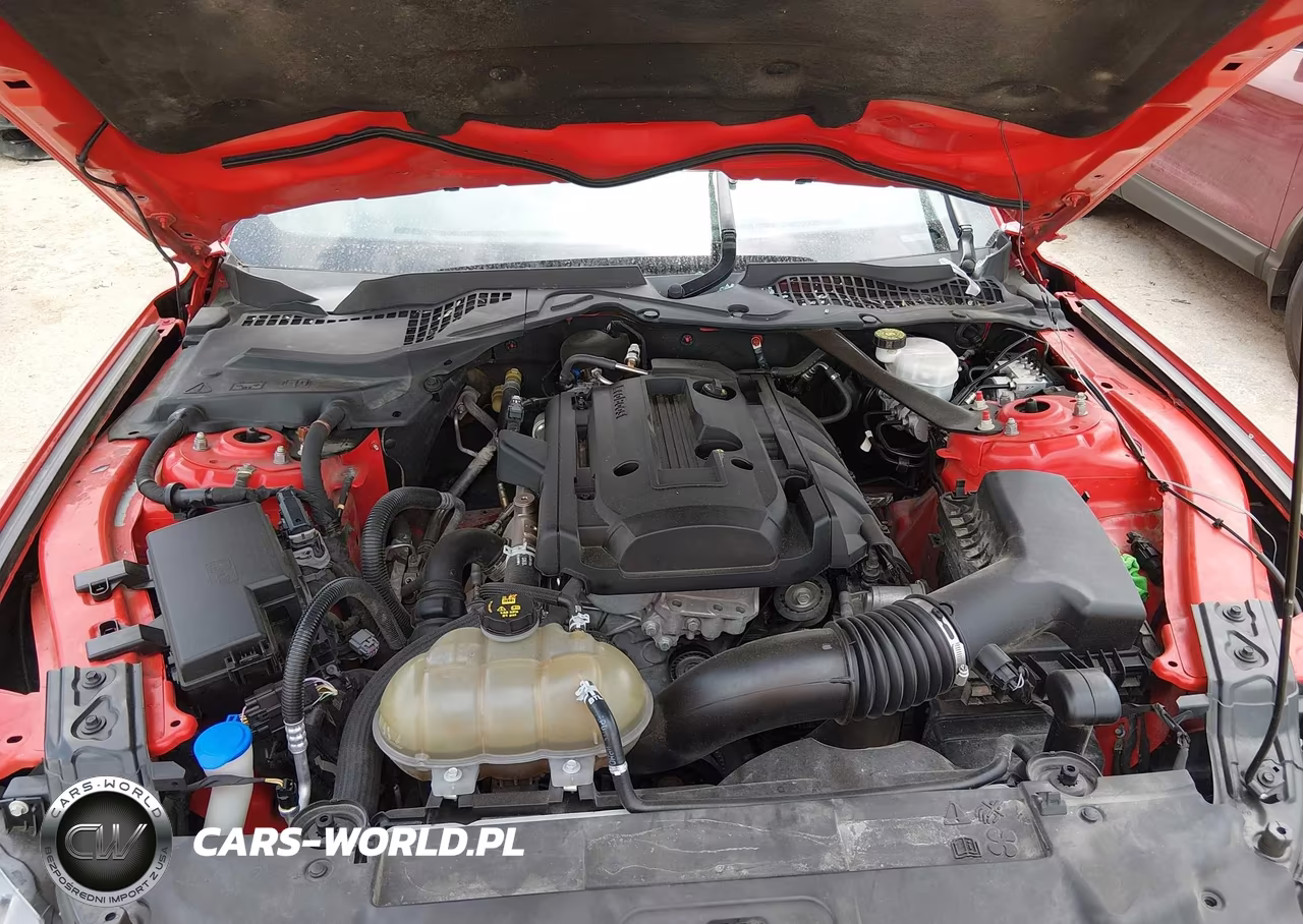 2020 Ford Mustang Ecoboost Premium VIN:1FATP8UH4L5179759 - 10