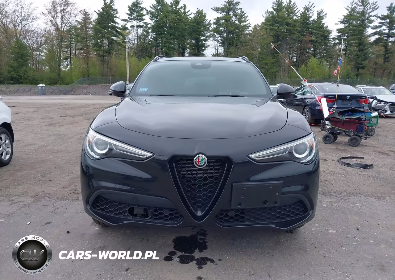 2022 Alfa Romeo Stelvio Sprint Awd VIN:ZASPAKAN5N7D29915 - 13