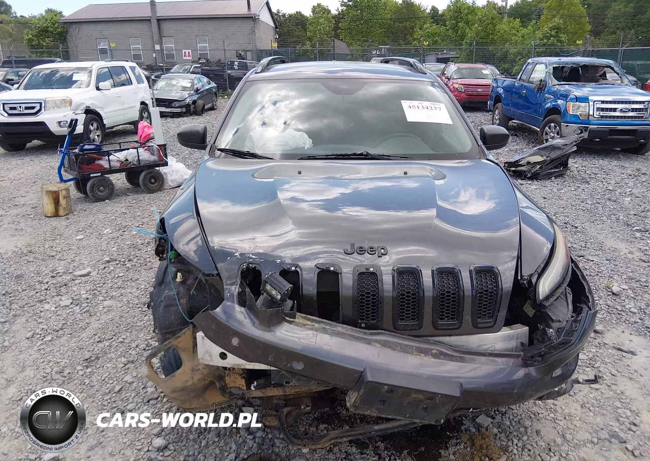 2016 Jeep Cherokee Altitude VIN:1C4PJMAB1GW314573 - 12