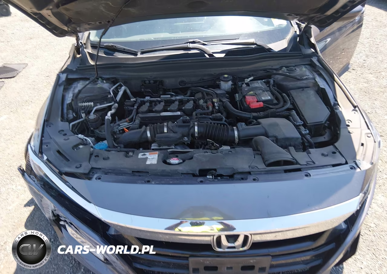 2019 Honda Accord Ex VIN:1HGCV1F46KA070972 - 10