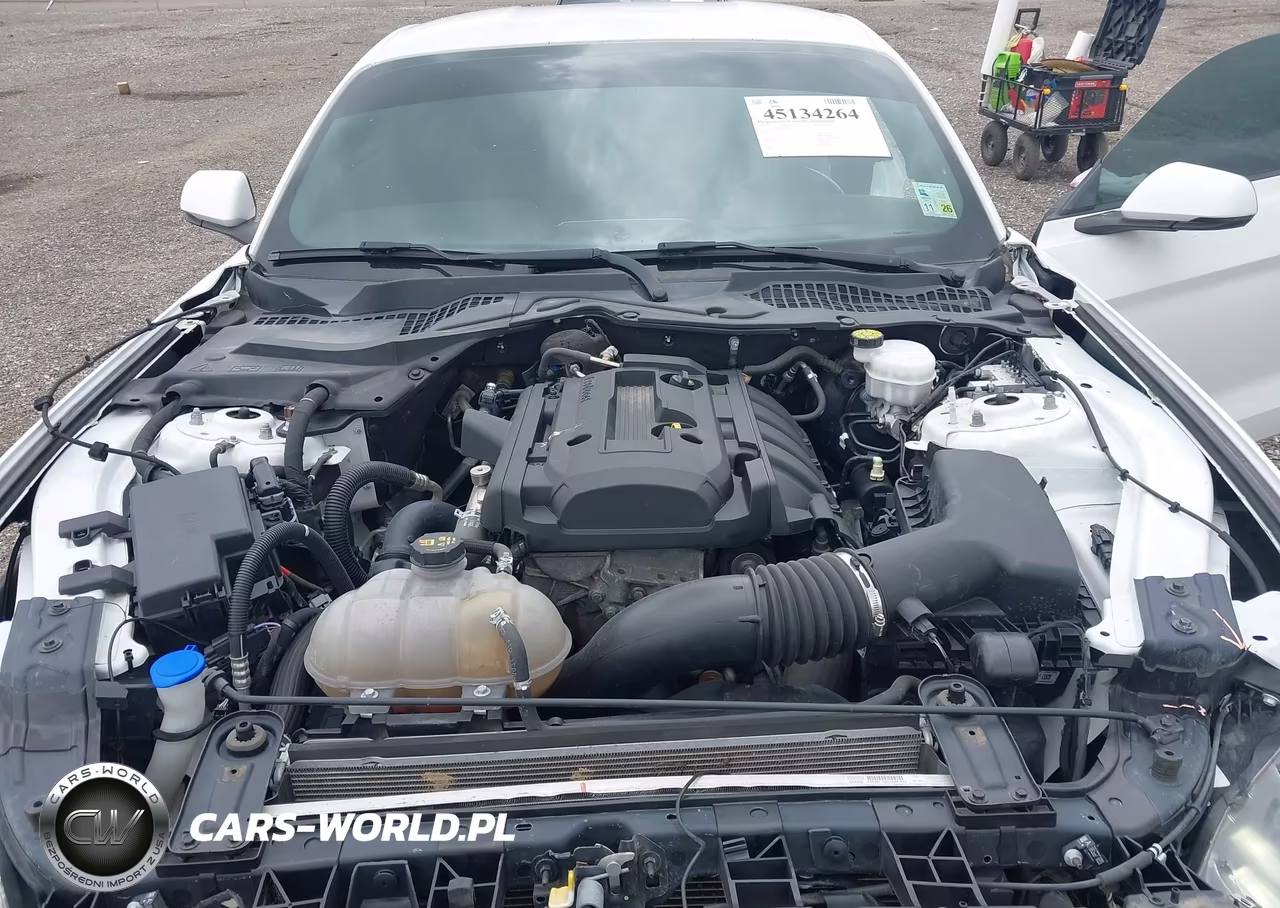 2020 Ford Mustang Ecoboost Premium Fastback VIN:1FA6P8TH4L5120113 - 10