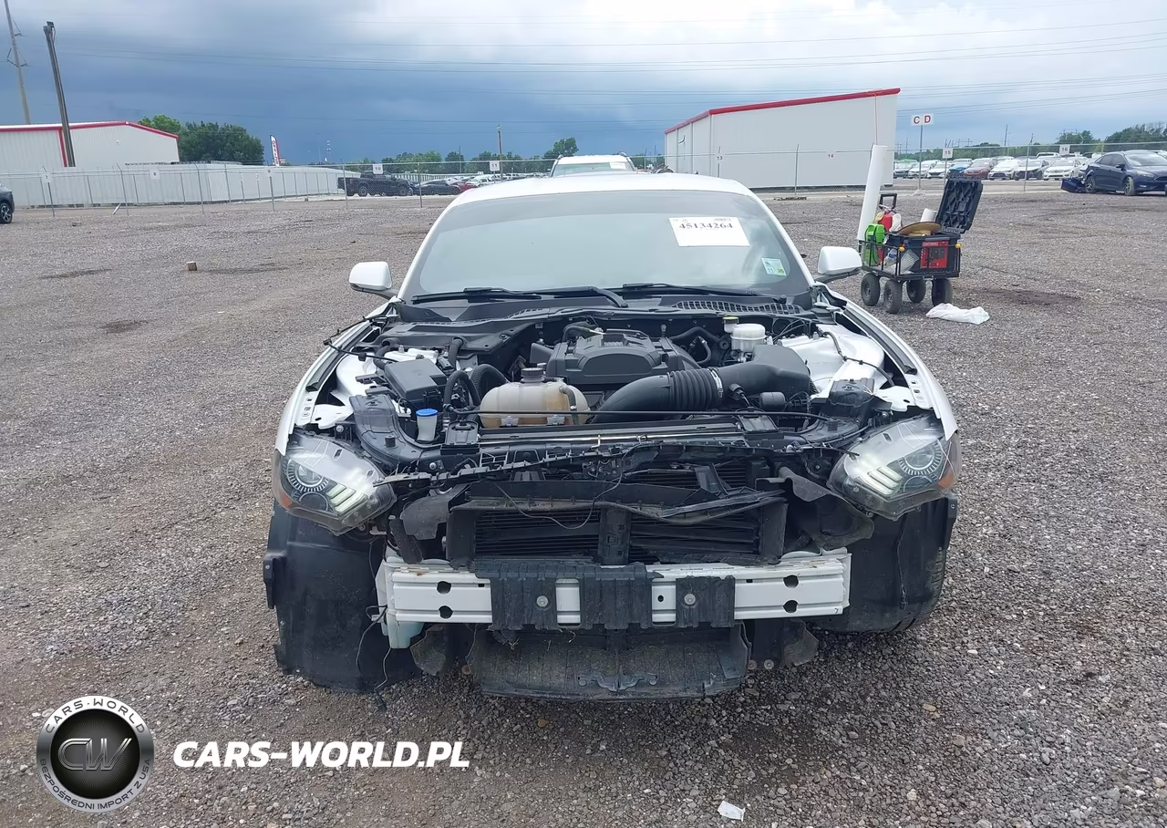 2020 Ford Mustang Ecoboost Premium Fastback VIN:1FA6P8TH4L5120113 - 13
