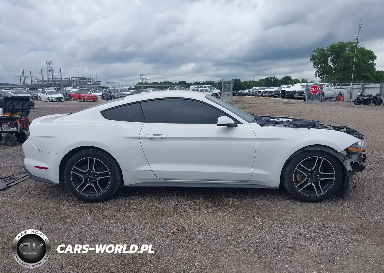 2020 Ford Mustang Ecoboost Premium Fastback VIN:1FA6P8TH4L5120113 - 14