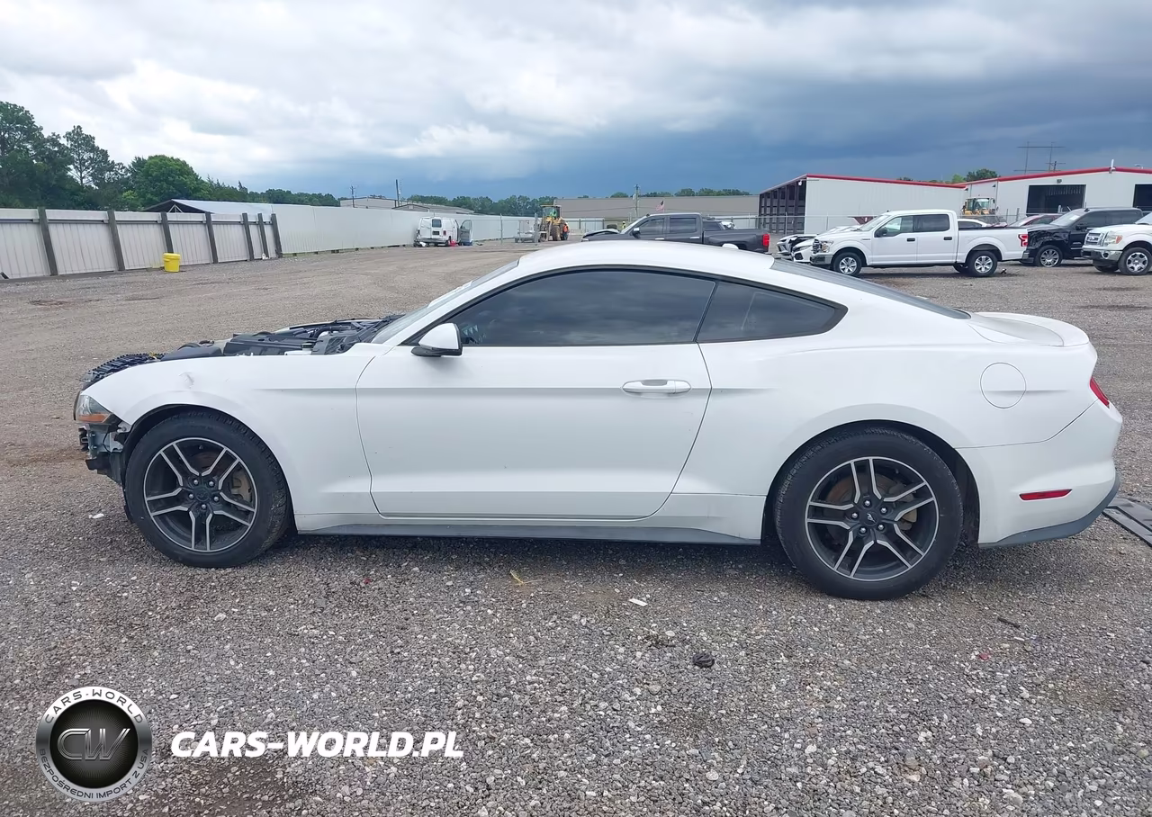 2020 Ford Mustang Ecoboost Premium Fastback VIN:1FA6P8TH4L5120113 - 15