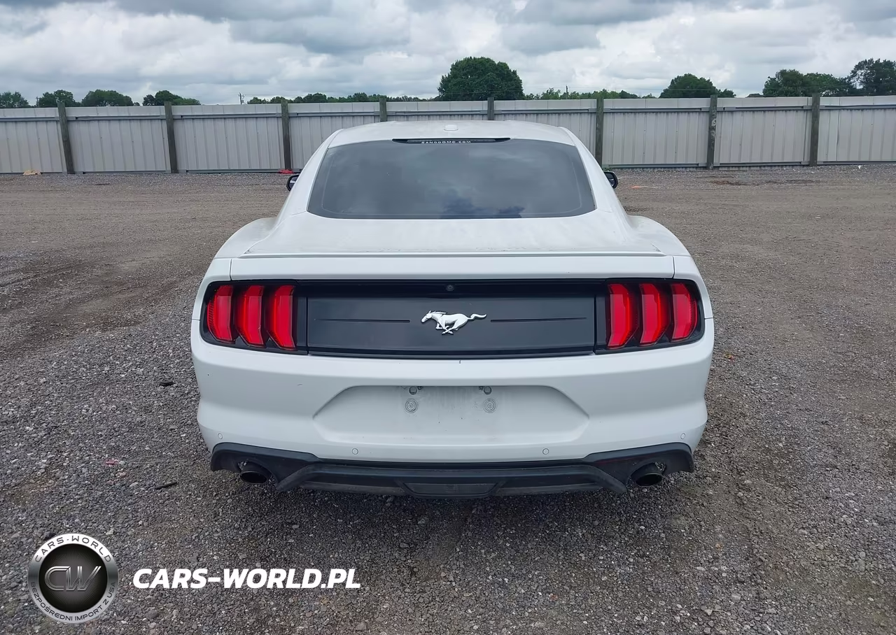 2020 Ford Mustang Ecoboost Premium Fastback VIN:1FA6P8TH4L5120113 - 17