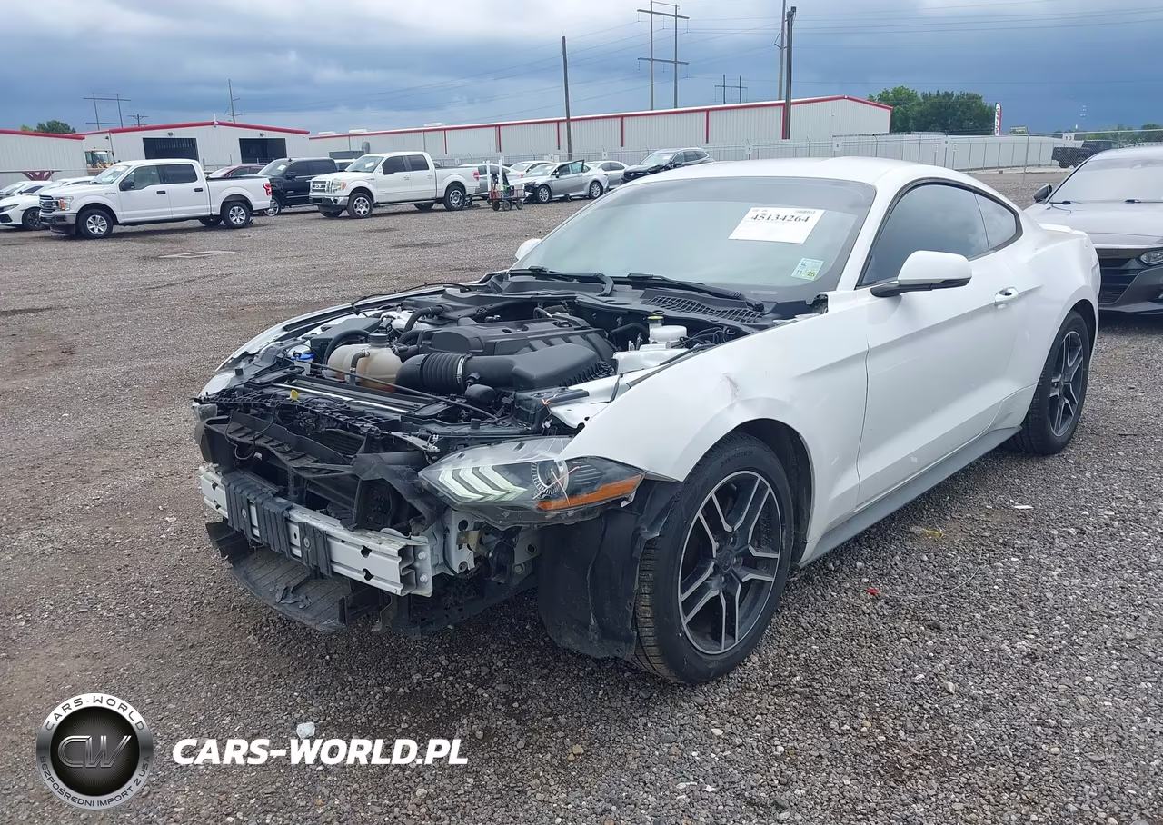 2020 Ford Mustang Ecoboost Premium Fastback VIN:1FA6P8TH4L5120113 - 18