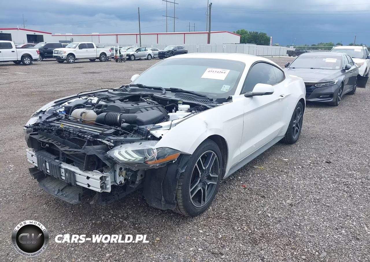 2020 Ford Mustang Ecoboost Premium Fastback VIN:1FA6P8TH4L5120113 - 2
