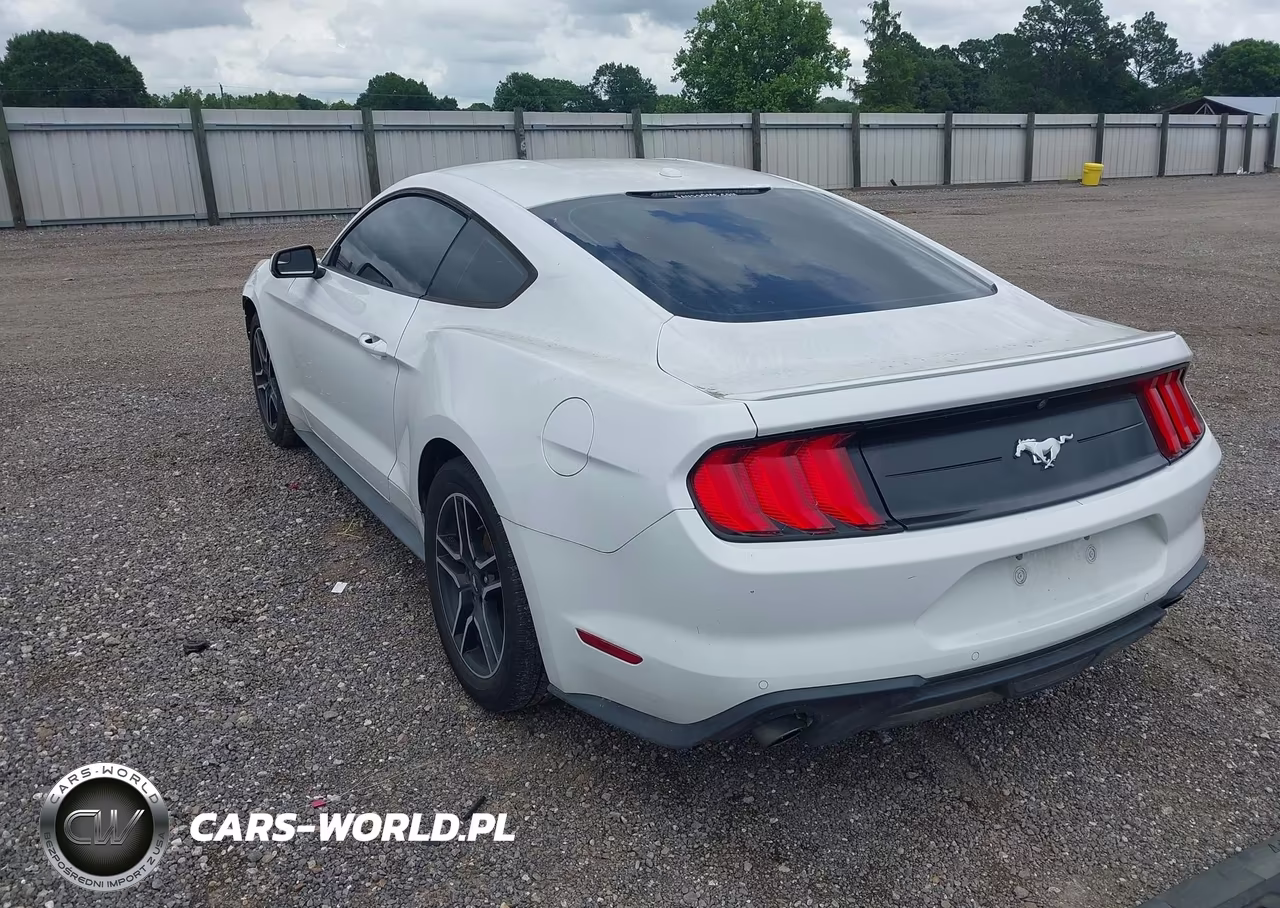 2020 Ford Mustang Ecoboost Premium Fastback VIN:1FA6P8TH4L5120113 - 3
