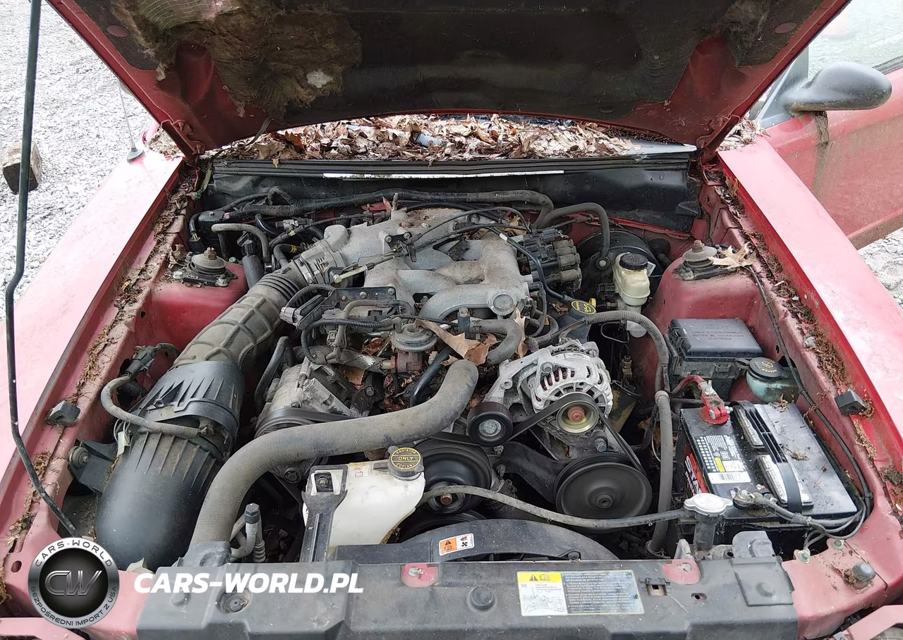 2004 Ford Mustang VIN:1FAFP40604F226260 - 10