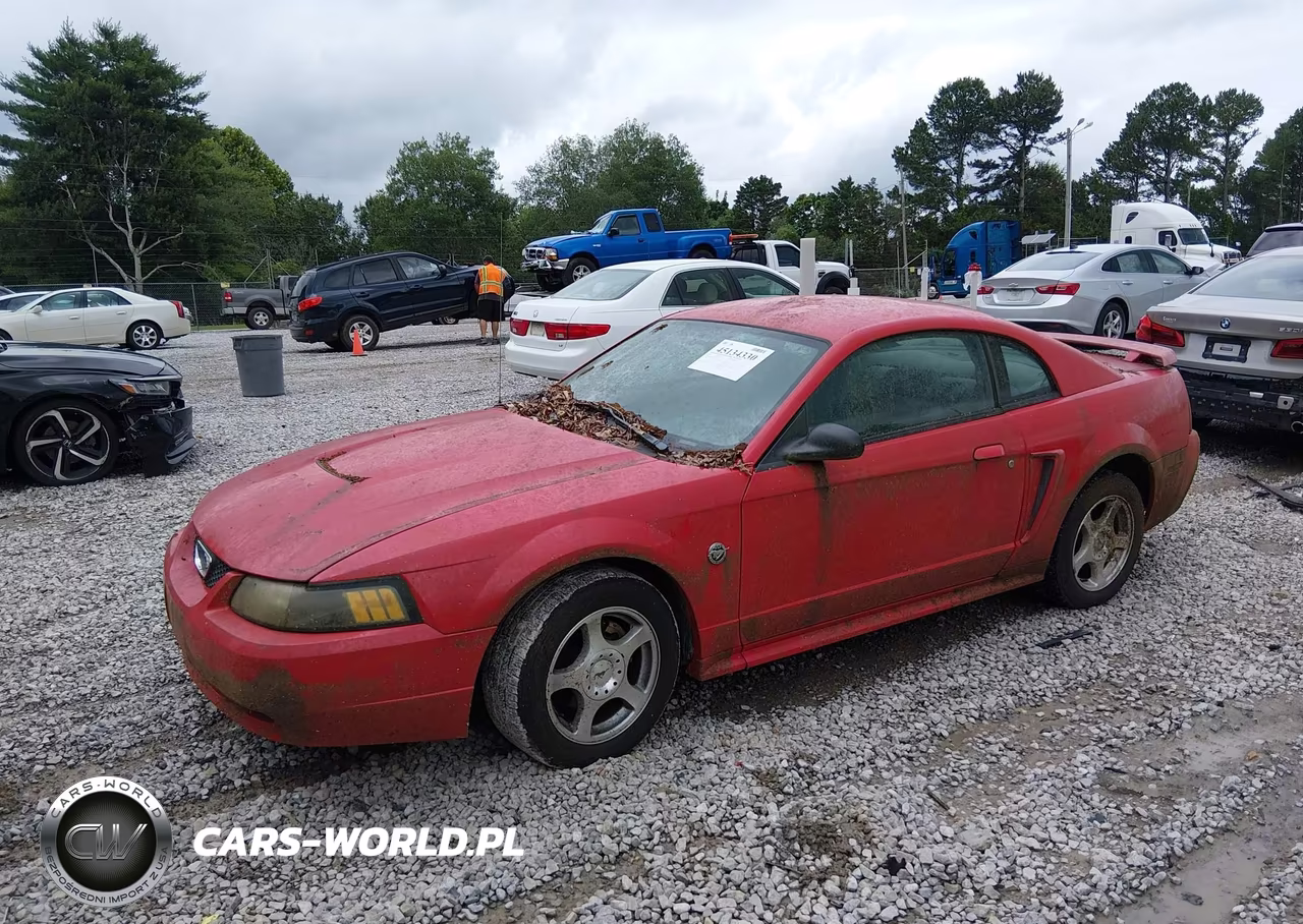 2004 Ford Mustang VIN:1FAFP40604F226260 - 2