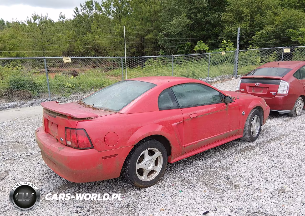 2004 Ford Mustang VIN:1FAFP40604F226260 - 4