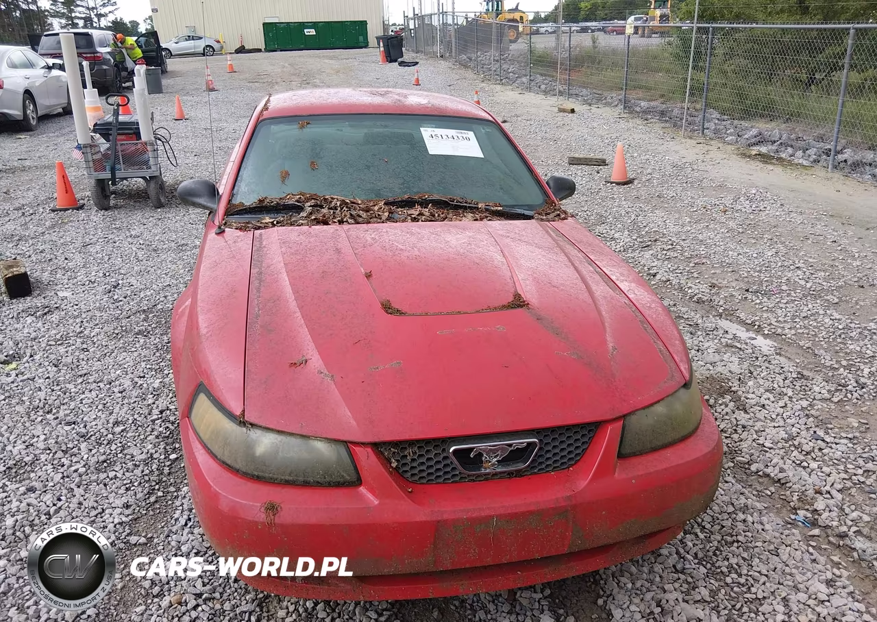 2004 Ford Mustang VIN:1FAFP40604F226260 - 6