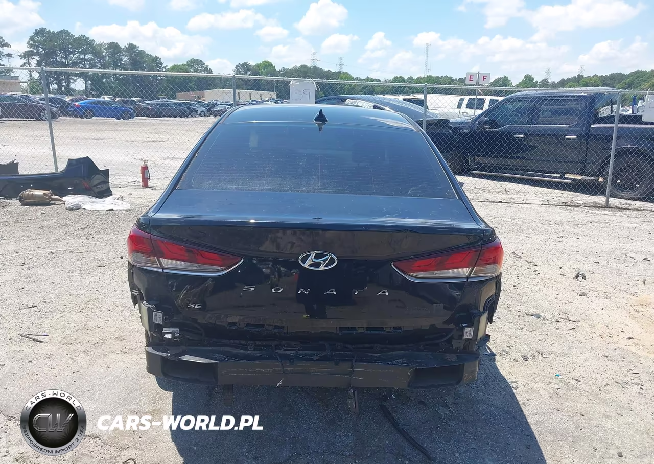 2019 Hyundai Sonata Se VIN:5NPE24AF6KH746338 - 17