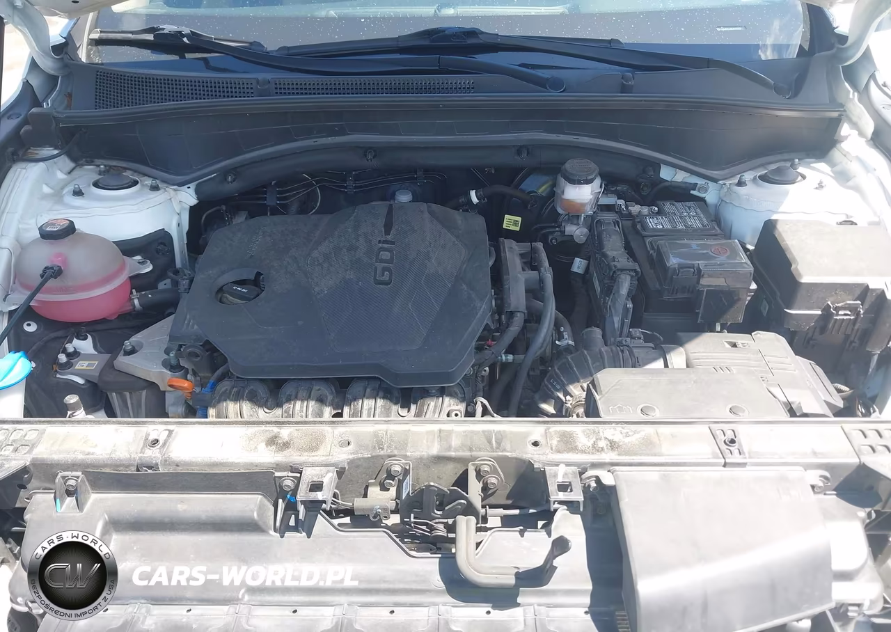 2021 Hyundai Santa Fe Se VIN:5NMS14AJ8MH365326 - 10